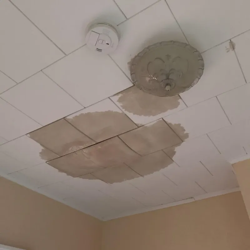 Ceiling Water Damage Repair in Rockwell, NC