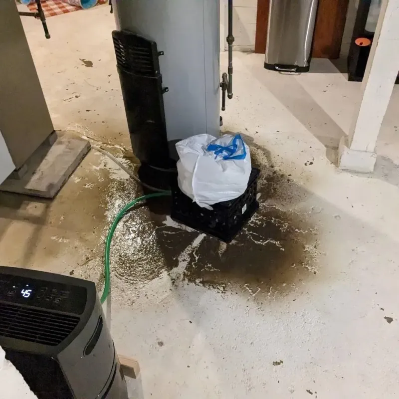 Sewage Backup Cleanup Service in Rockwell, NC
